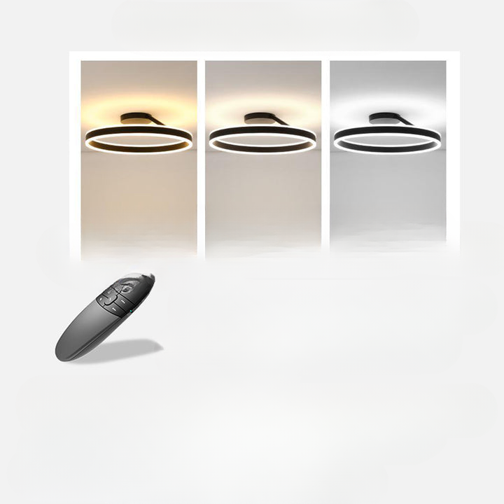 Ronde Scandinavische Plafondlamp Met Hangende LED-Ring