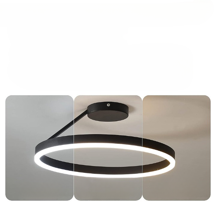 Ronde Scandinavische Plafondlamp Met Hangende LED-Ring
