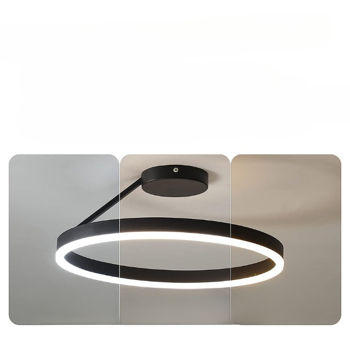 Ronde Scandinavische Plafondlamp Met Hangende LED-Ring
