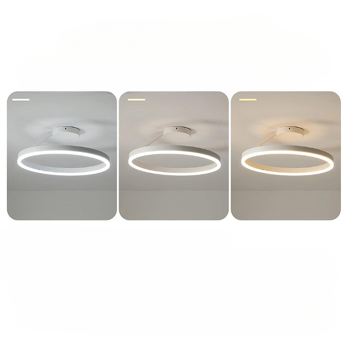 Ronde Scandinavische Plafondlamp Met Hangende LED-Ring
