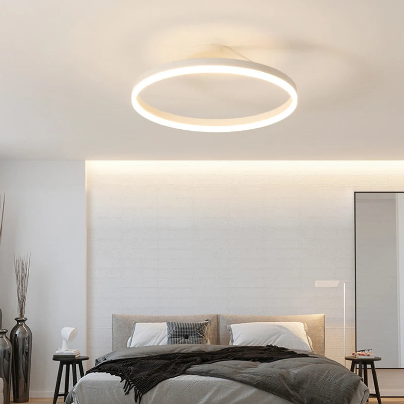 Ronde Scandinavische Plafondlamp Met Hangende LED-Ring